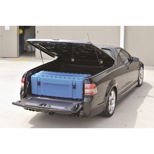 Picture of KINCROME CARGO CASE - BLUE (1200 x 280 x 445MM)